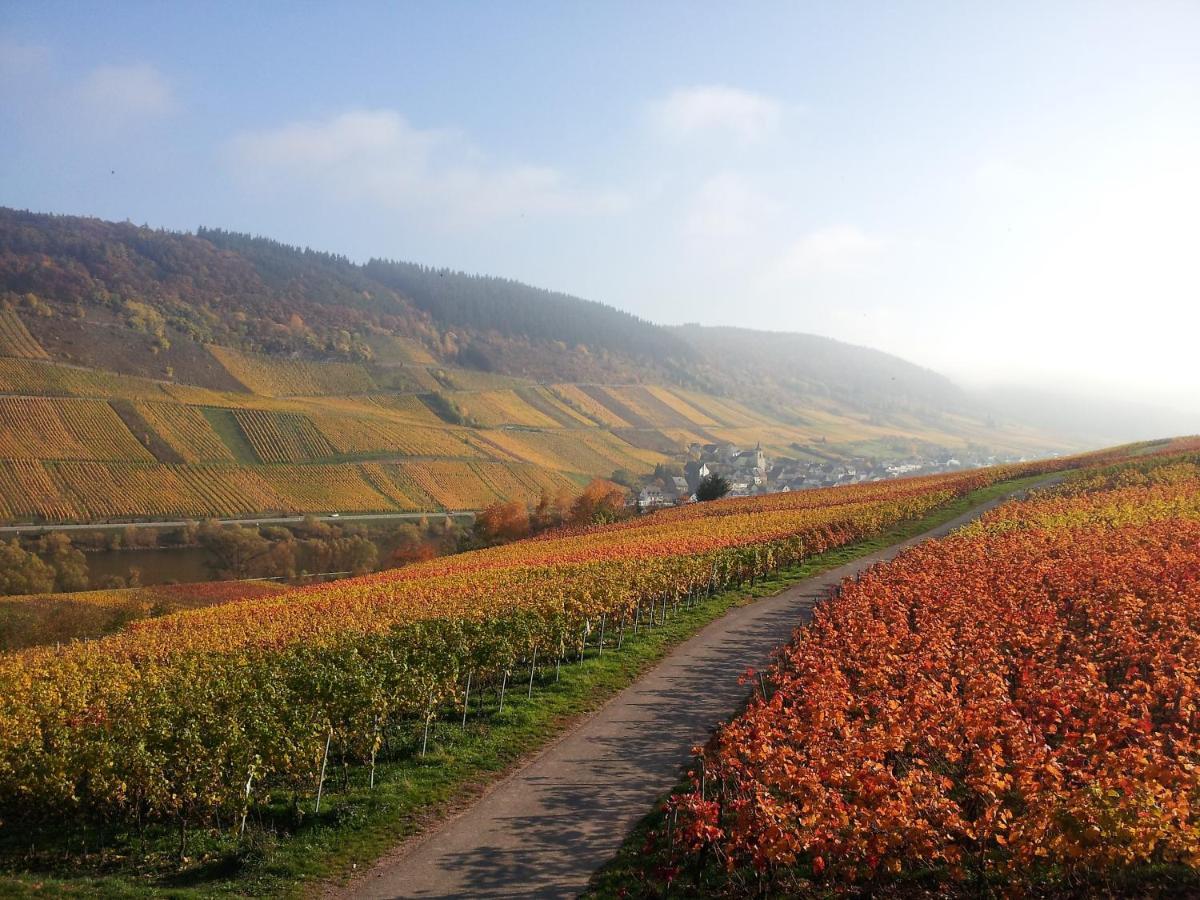 Weingut-Brennerei-Gaestehaus Emil Dauns Reil Buitenkant foto