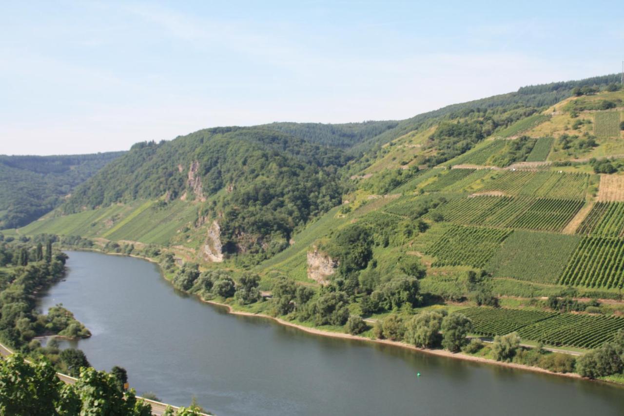 Weingut-Brennerei-Gaestehaus Emil Dauns Reil Buitenkant foto