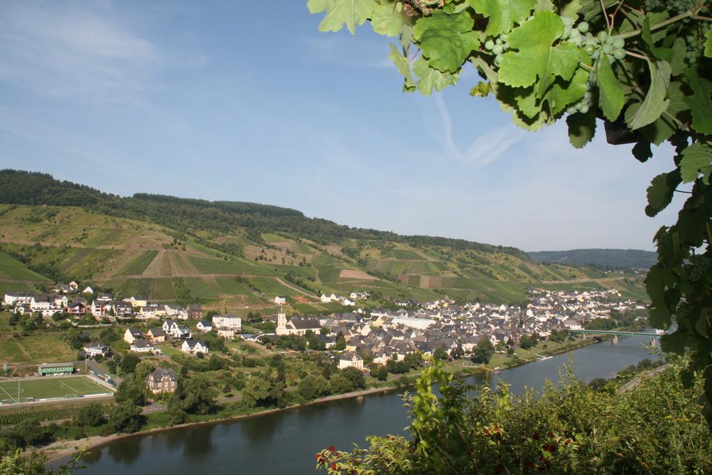 Weingut-Brennerei-Gaestehaus Emil Dauns Reil Buitenkant foto