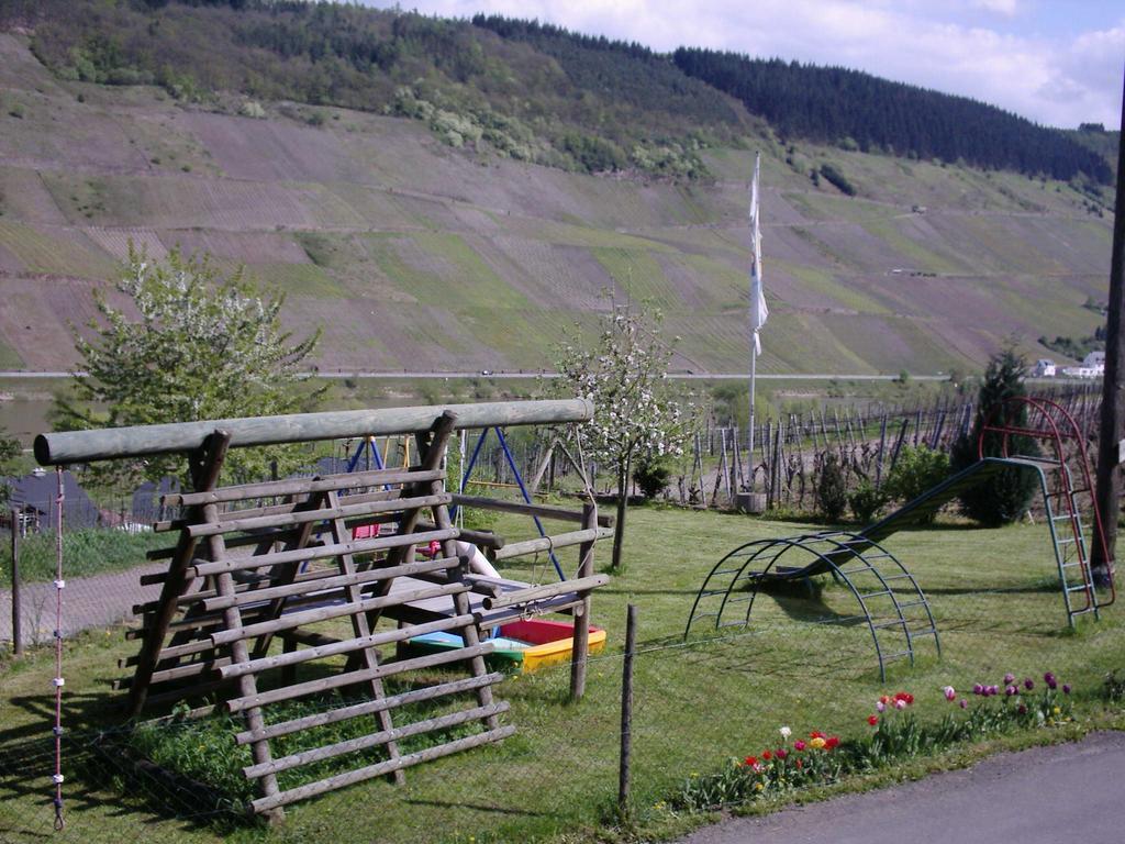 Weingut-Brennerei-Gaestehaus Emil Dauns Reil Buitenkant foto