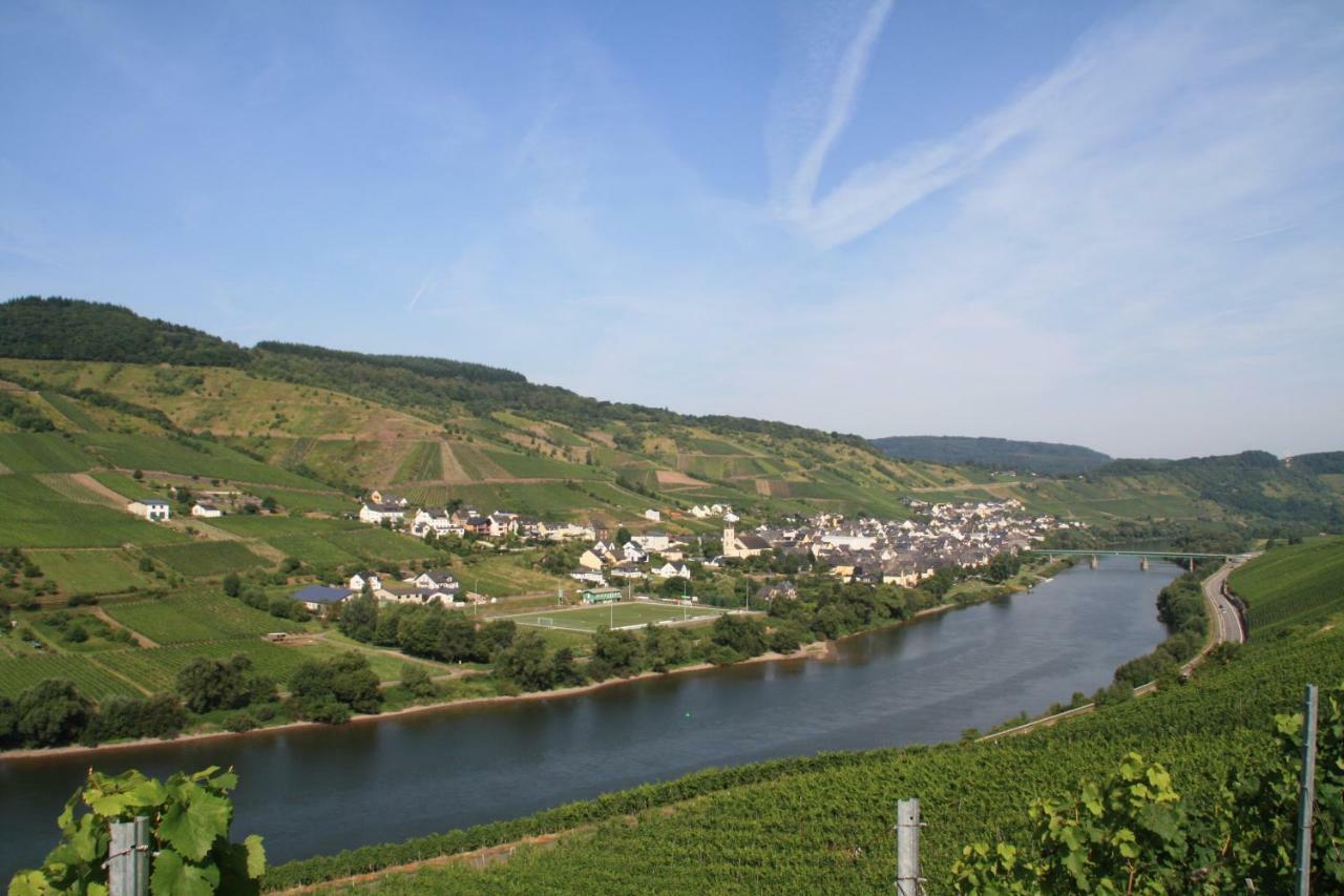 Weingut-Brennerei-Gaestehaus Emil Dauns Reil Buitenkant foto