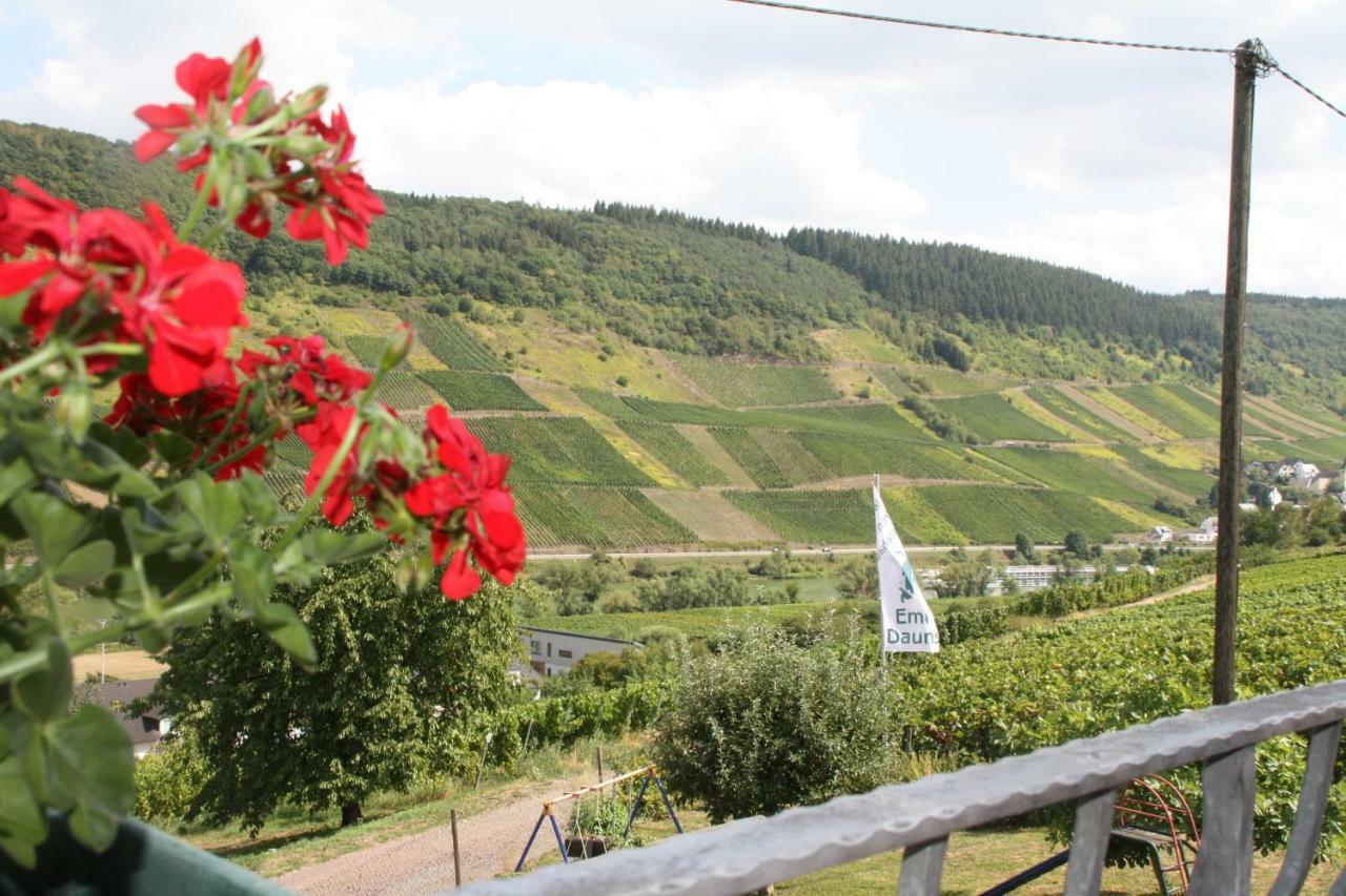 Weingut-Brennerei-Gaestehaus Emil Dauns Reil Buitenkant foto
