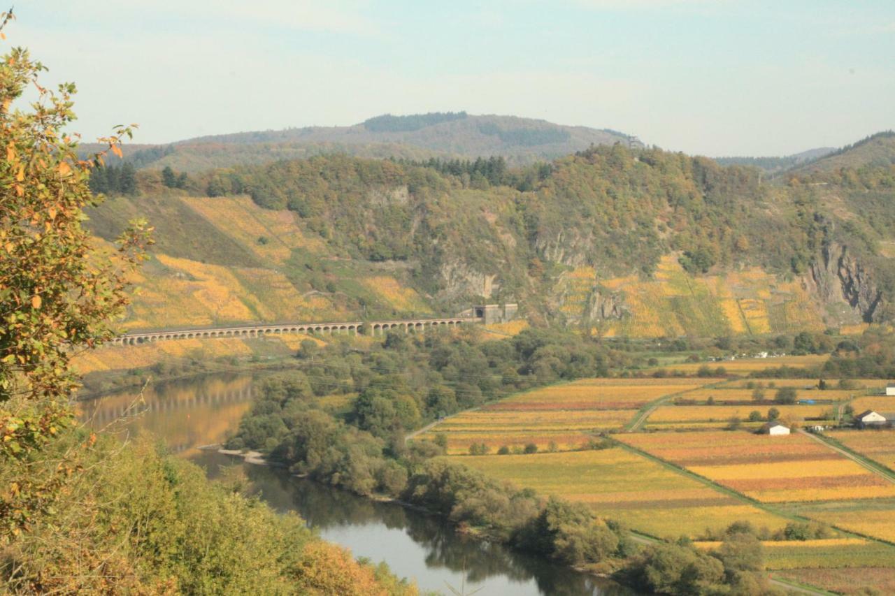Weingut-Brennerei-Gaestehaus Emil Dauns Reil Buitenkant foto